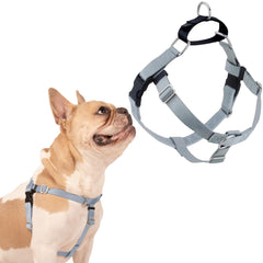 2 Hounds Design Freedom dog harness shown from the front in silver.