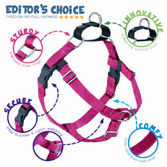 2 Hounds Design Freedom harness close-up showing the front O-ring.