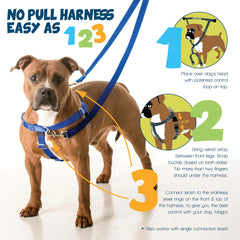 2 Hounds Design Freedom harness front O-ring and stainless steel hardware close-up.
