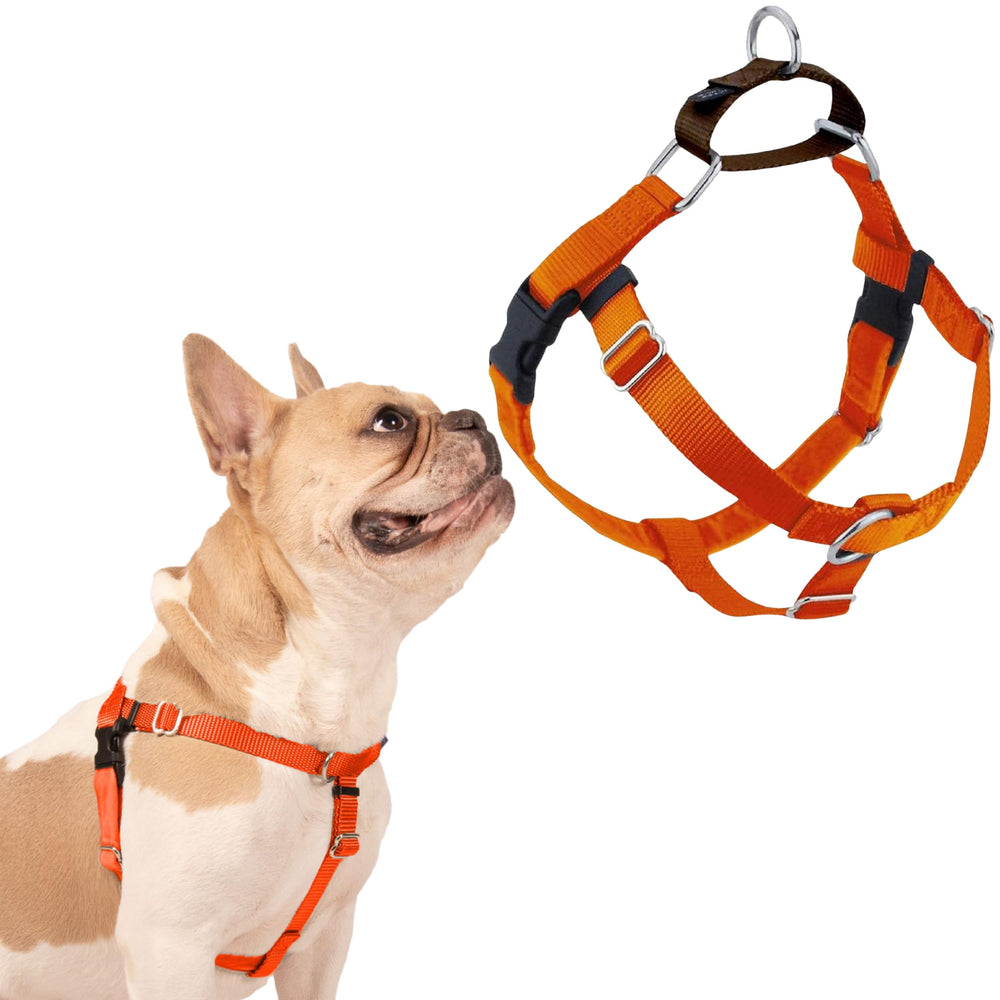 2 Hounds Design Freedom No Pull Dog Harness shown from the front.