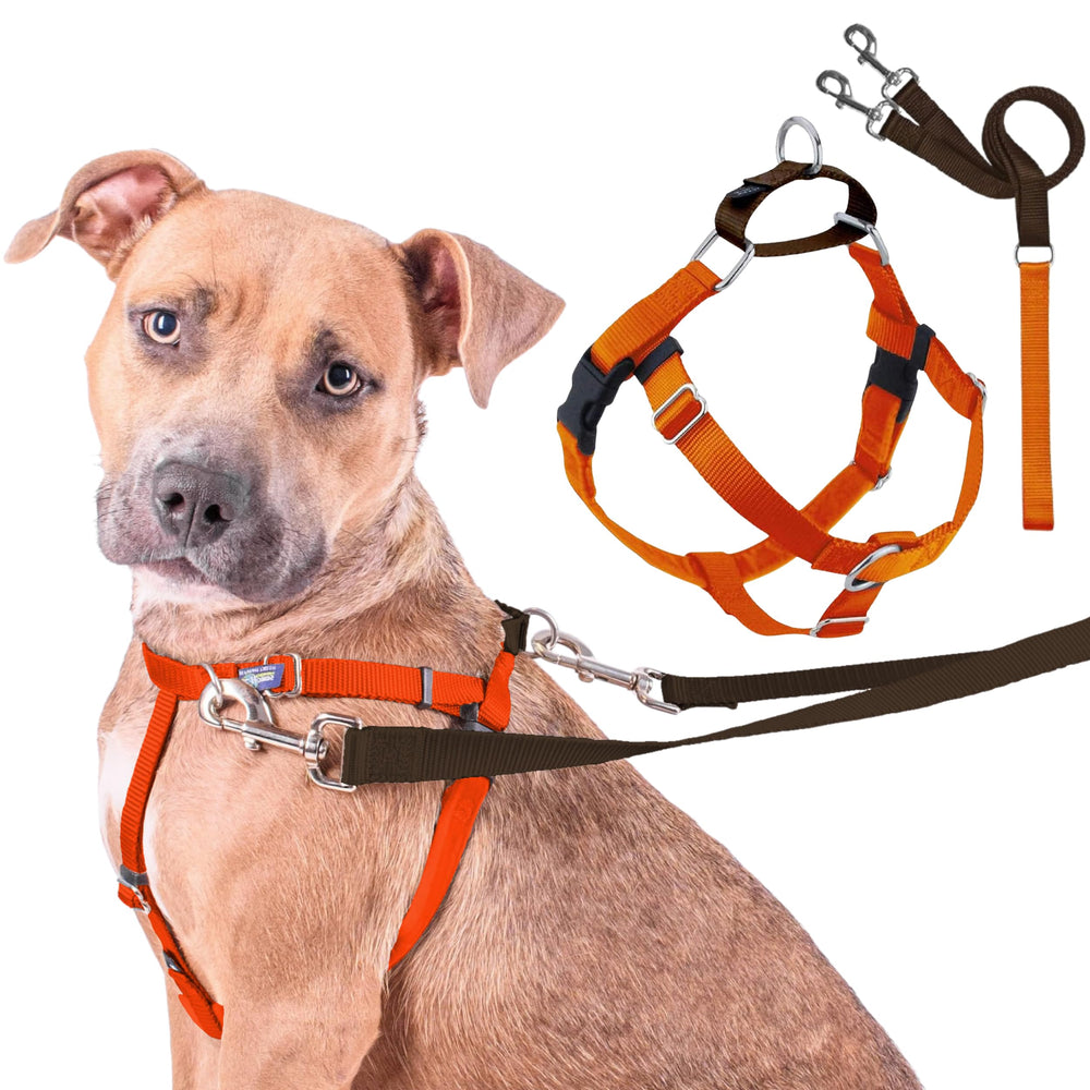 2 Hounds Design Freedom harness shown from the front.