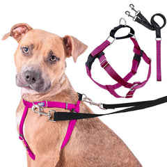 2 Hounds Design Freedom harness and leash set shown from the front.