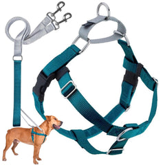 2 Hounds Design Freedom No Pull Dog Harness and Leash shown from the front in teal.