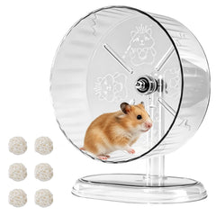 Acsist hamster exercise wheel shown from the front with its transparent running surface.