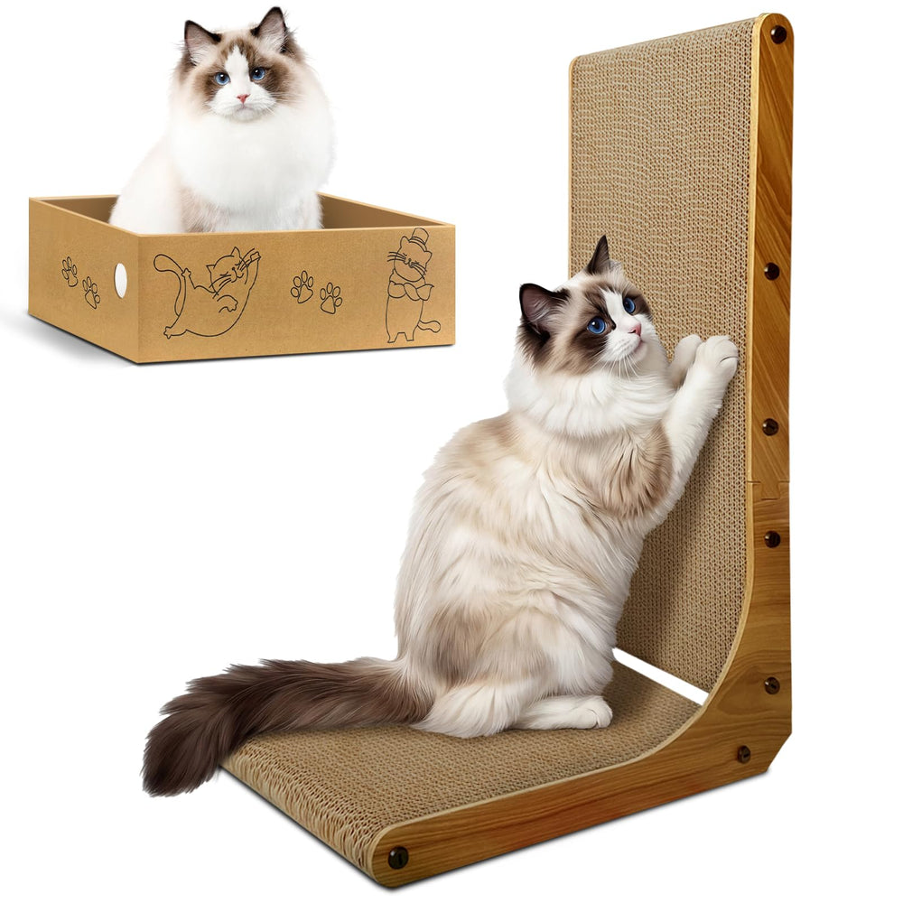 AGYM Cat Scratcher shown from the front with its L-shaped board and box.