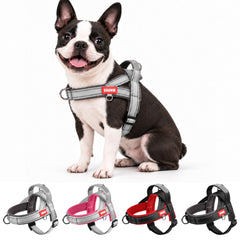 Amourchou dog harness shown from the front in grey.