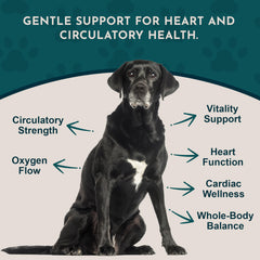 Animal Essentials Heart Health label detail shown close up.