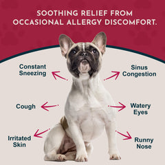 Animal Essentials Seasonal Allergy Treatment label shown in close detail.