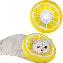 ANWA cat cone collar shown from the front in its soft donut shape.