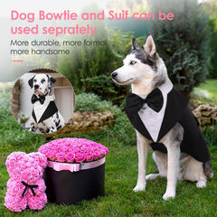 AOFITEE Dog Tuxedo bandana collar with its removable bowtie.