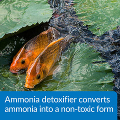 API POND AMMO-LOCK ammonia detoxifier bottle shown from the side.