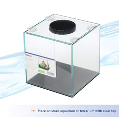 Aqueon Betta LED Light displaying its all-on illumination mode.
