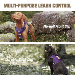 AUROTH dog harness detail showing adjustable metal rings.