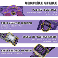 AUROTH dog harness close-up showing its quick-release buckles.