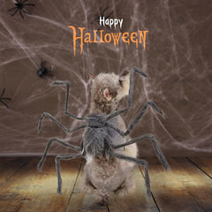 BAMY dog spider costume shown from the side to display its overall shape.