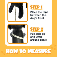Bark Appeal dog harness displayed to show its step-in vest style.