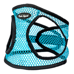 Front view of the teal Bark Appeal dog harness.