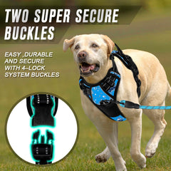 BARKBAY dog harness with its back leash attachment point in view.