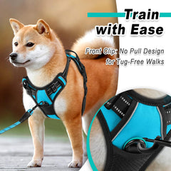 BARKBAY dog harness close-up showing its front leash attachment.