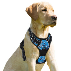 BARKBAY dog harness shown from the front.