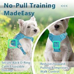 BARKBAY dog harness top handle shown in close-up.