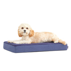 BarkBox Orthopedic Dog Bed shown from the front to display its cushioned shape.