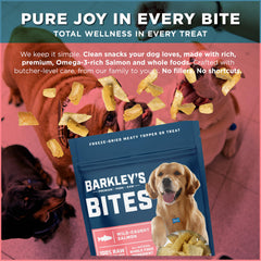 Barkley’s Salmon Bites freeze-dried nuggets shown in a close-up.