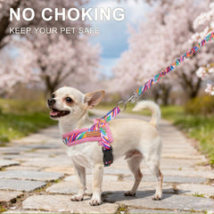 BEAUTYZOO small dog harness close-up showing the soft mesh padding.