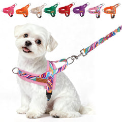 BEAUTYZOO small dog harness and leash set shown from the front.