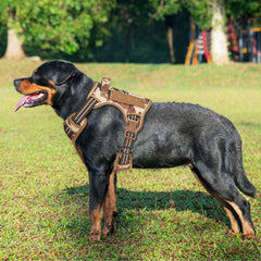 Beebiepet tactical dog harness close-up showing reinforced stitching and triangular rings.