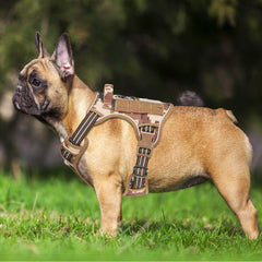 Beebiepet tactical dog harness showing the MOLLE strips on both sides.