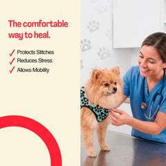 BellyGuard dog surgery recovery suit shown from the side.