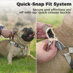 BINGPET dog harness leash hook shown with its rotating connection.