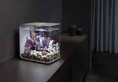 biOrb Marble Pebble Set underwater, where the white pebbles deepen in color and shine.