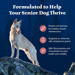 Blue Buffalo Wilderness Senior dog food highlighting its wholesome grains.