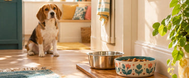 Pet bowls on a wooden mat with a beagle waiting