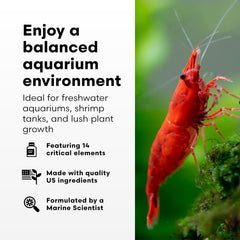 Back label view of Brightwell Aquatics FlorinMulti plant supplement.