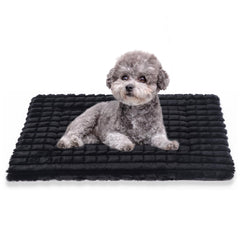 BVAGSS dog bed shown from the front in its black 24 x 18 inch size.