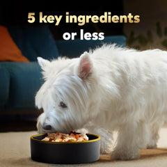 Cesar chicken wet dog food topper in an easy-peel serving tub.
