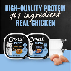 Cesar Puppy wet dog food tray shown with its peel-away seal.