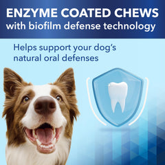 Ceva Clenz-A-Dent Breakables dental chew shown being chewed by a dog.
