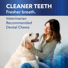 Ceva Clenz-A-Dent Breakables dental chew shown in a close-up of its rawhide texture.