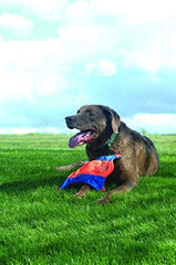 Chuckit! Small Flying Squirrel dog toy showing its glow-in-the-dark paws.