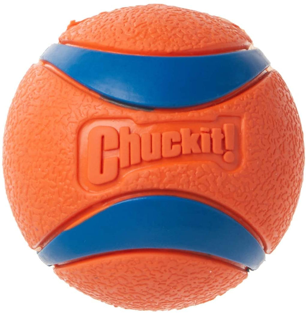 Chuckit! Ultra Ball X-Large dog fetch toy shown from the front.
