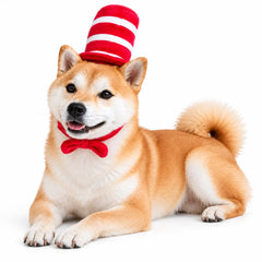 ComfyCamper dog top hat costume with a close view of the red bowtie at the hat base.