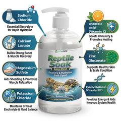 CTWPets Reptile Electrolyte Soak shown for a bearded dragon bath.