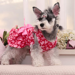 A small dog wearing a CuteBone velvet dog dress.