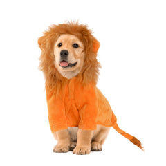 DELIFUR dog lion costume shown from the front in orange.