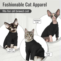 DENTRUN Hairless Cat Shirt shown from the back.