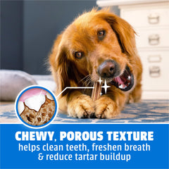 A dog enjoying a Dentalife large dog dental chew.